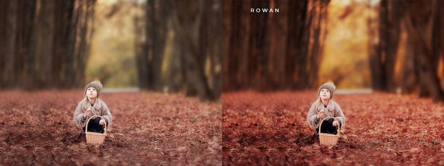 Painted Autumn PS Actions + Free Gift - Photoshop Overlays, Digital Backgrounds and Lightroom Presets