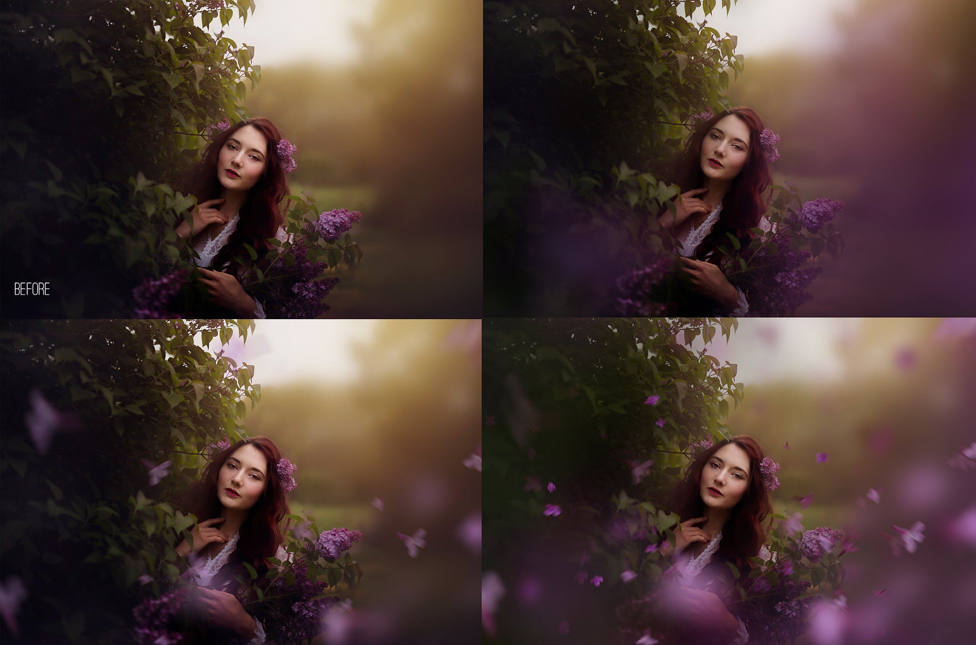 Painted Lilacs Photo Overlays - Photoshop Overlays, Digital Backgrounds and Lightroom Presets