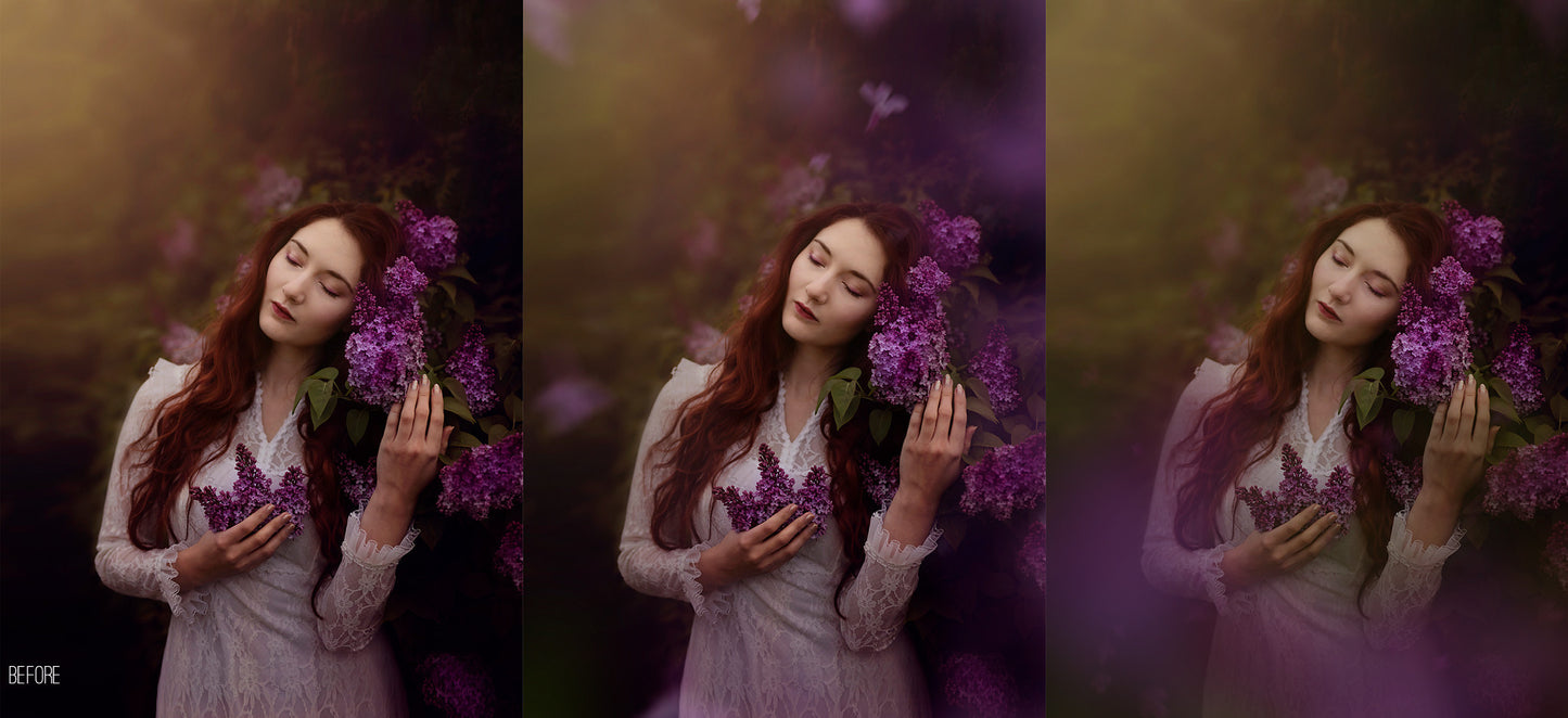 Painted Lilacs Photo Overlays - Photoshop Overlays, Digital Backgrounds and Lightroom Presets