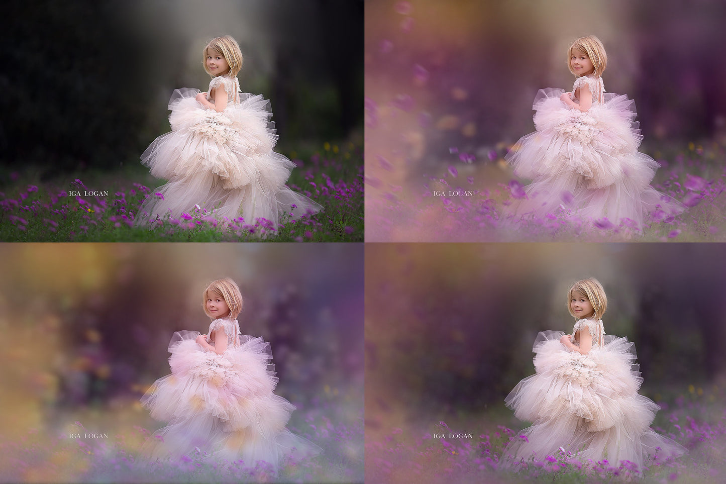 Painted Meadow Photo Overlays - Photoshop Overlays, Digital Backgrounds and Lightroom Presets