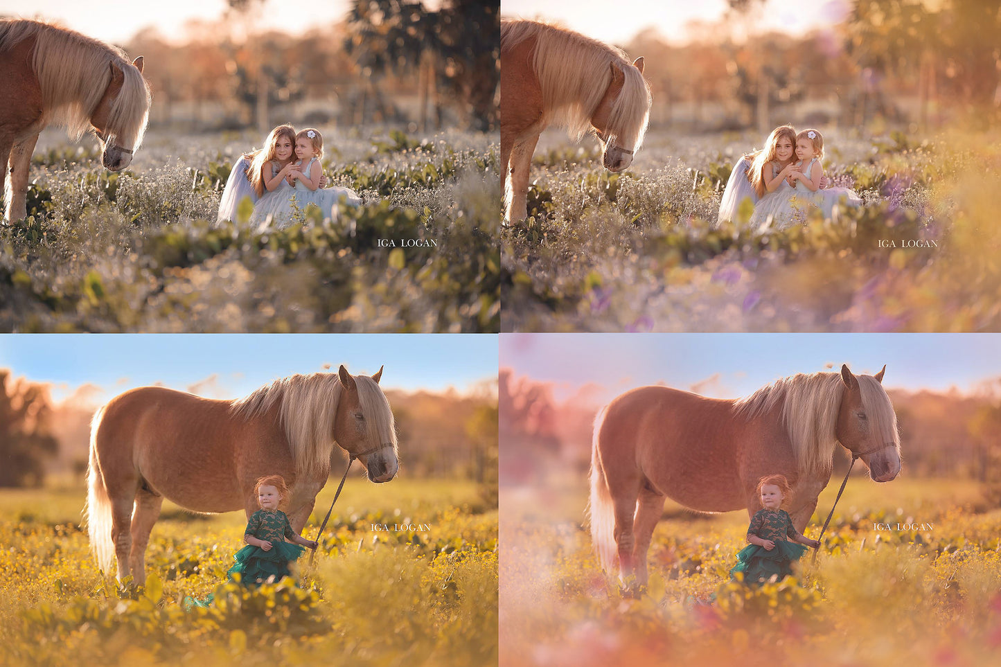 Painted Meadow Photo Overlays - Photoshop Overlays, Digital Backgrounds and Lightroom Presets