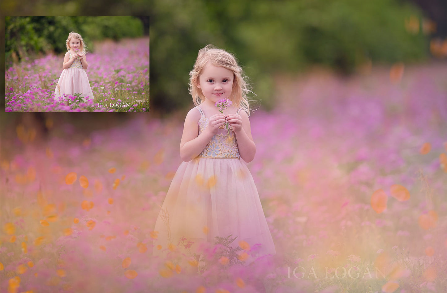 Pastel Summer Painted Photo Overlays