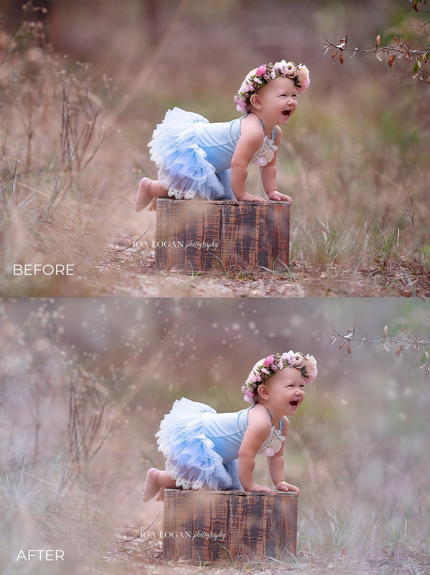 Pastel Spring Photo Overlays - Photoshop Overlays, Digital Backgrounds and Lightroom Presets