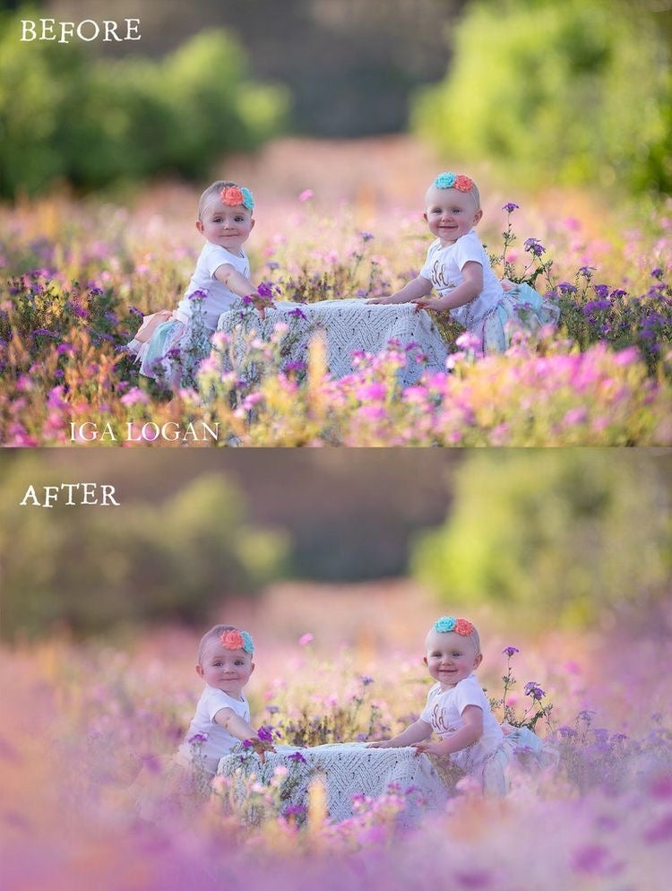 Painted Meadow Photo Overlays