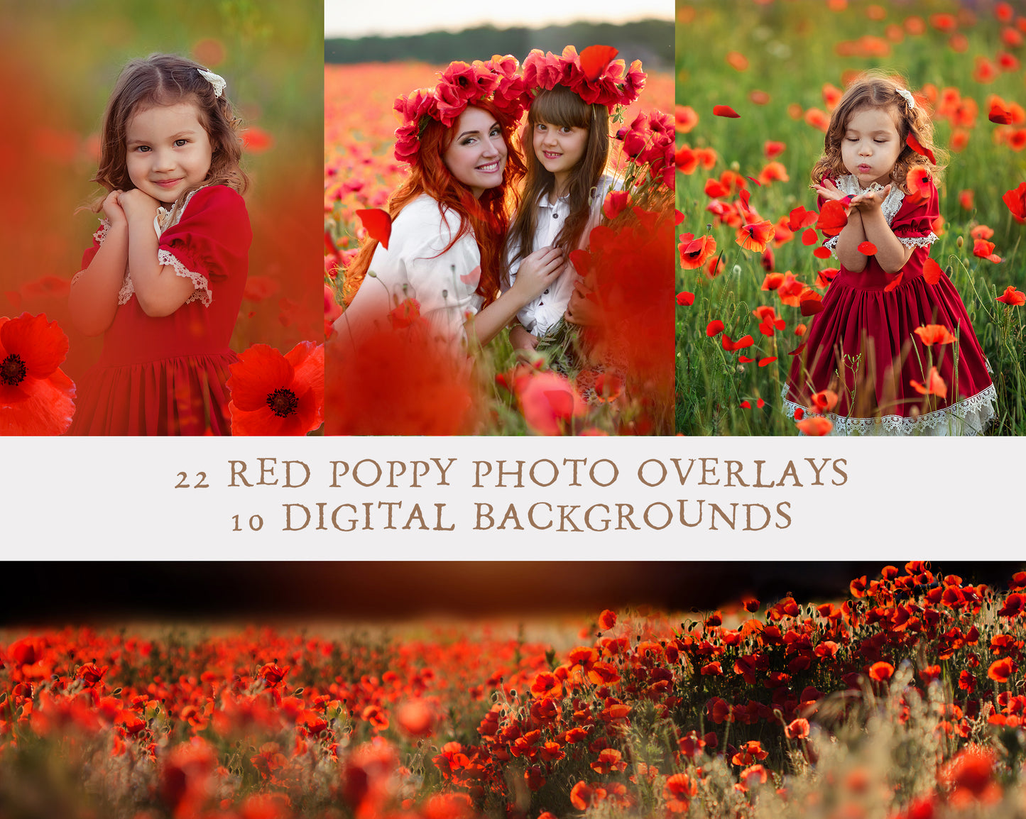 Red Poppy Photo Overlays and Digital Backgrounds