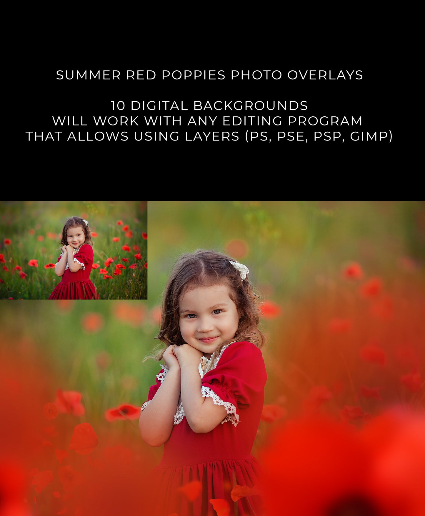 Red Poppy Photo Overlays and Digital Backgrounds