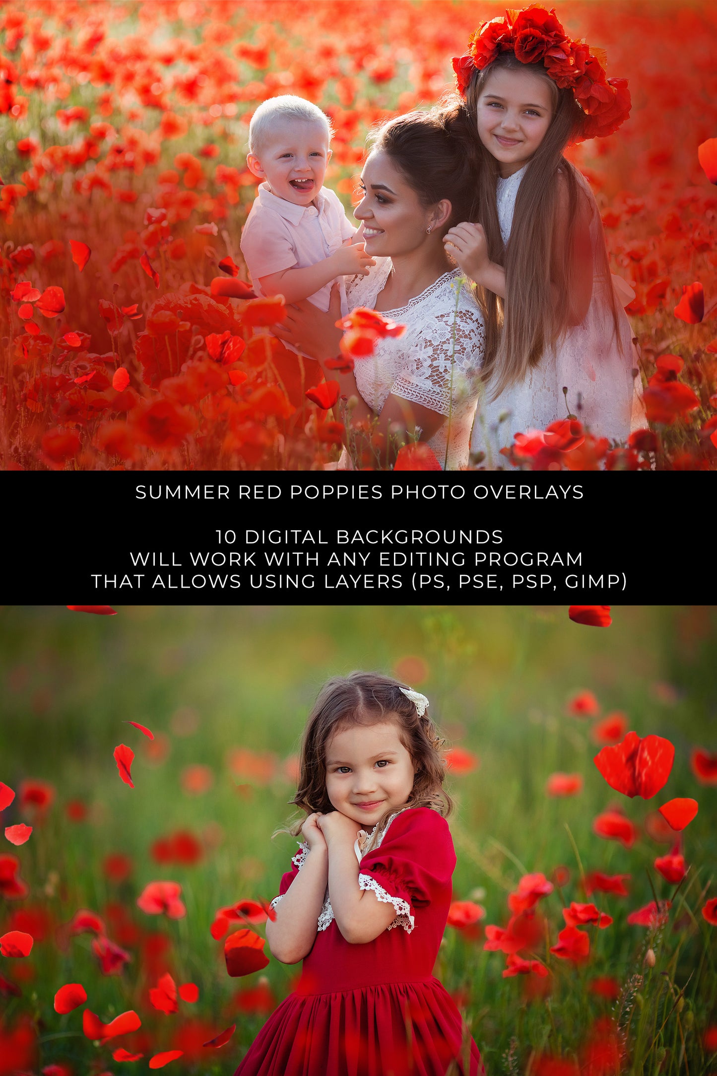 Red Poppy Photo Overlays and Digital Backgrounds