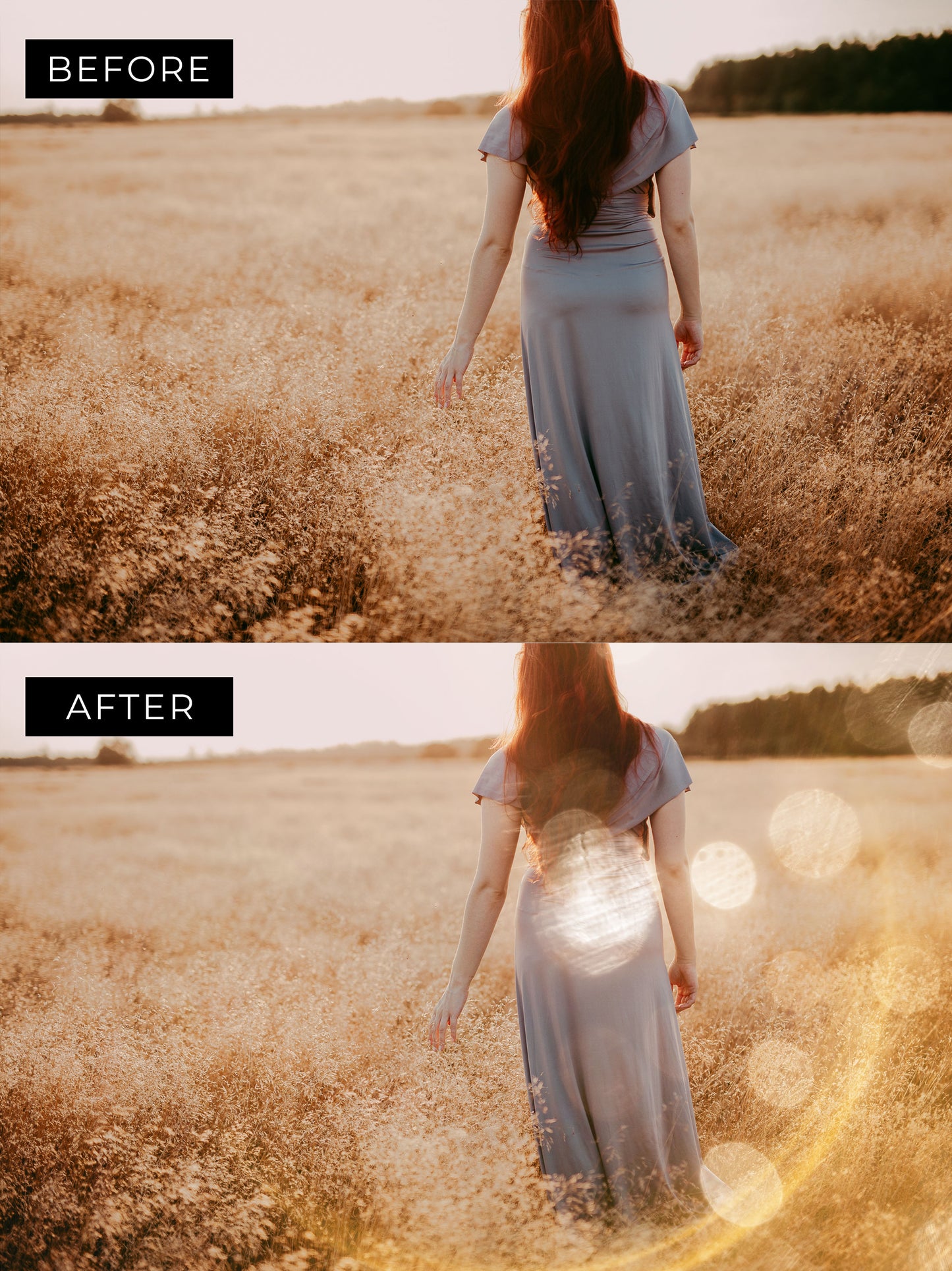 Ring Lens Flare Photo Overlays