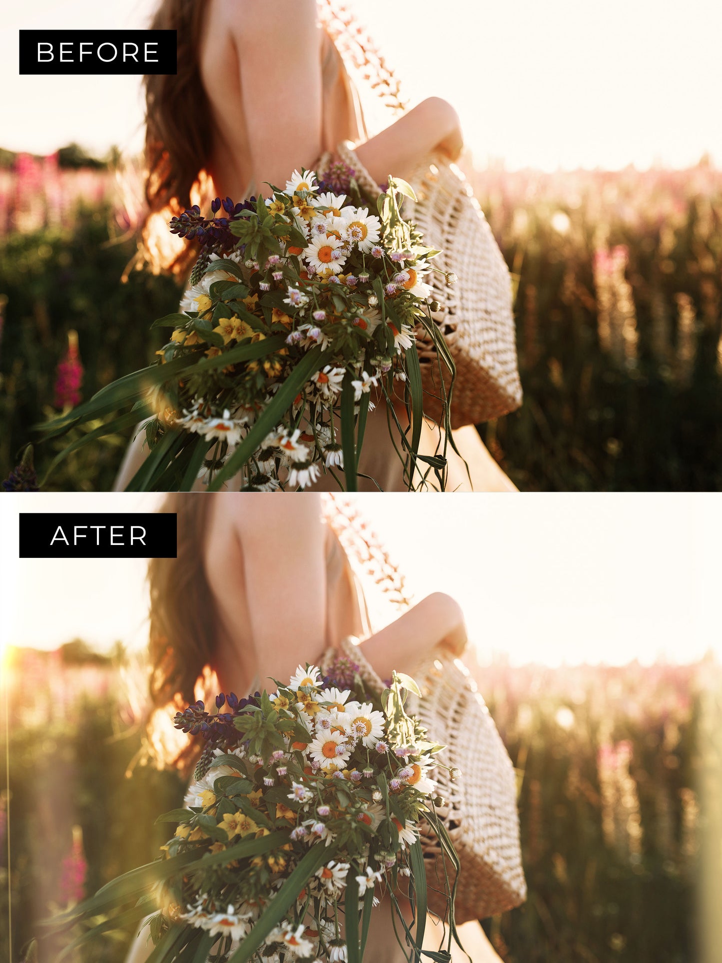 Ring Lens Flare Photo Overlays