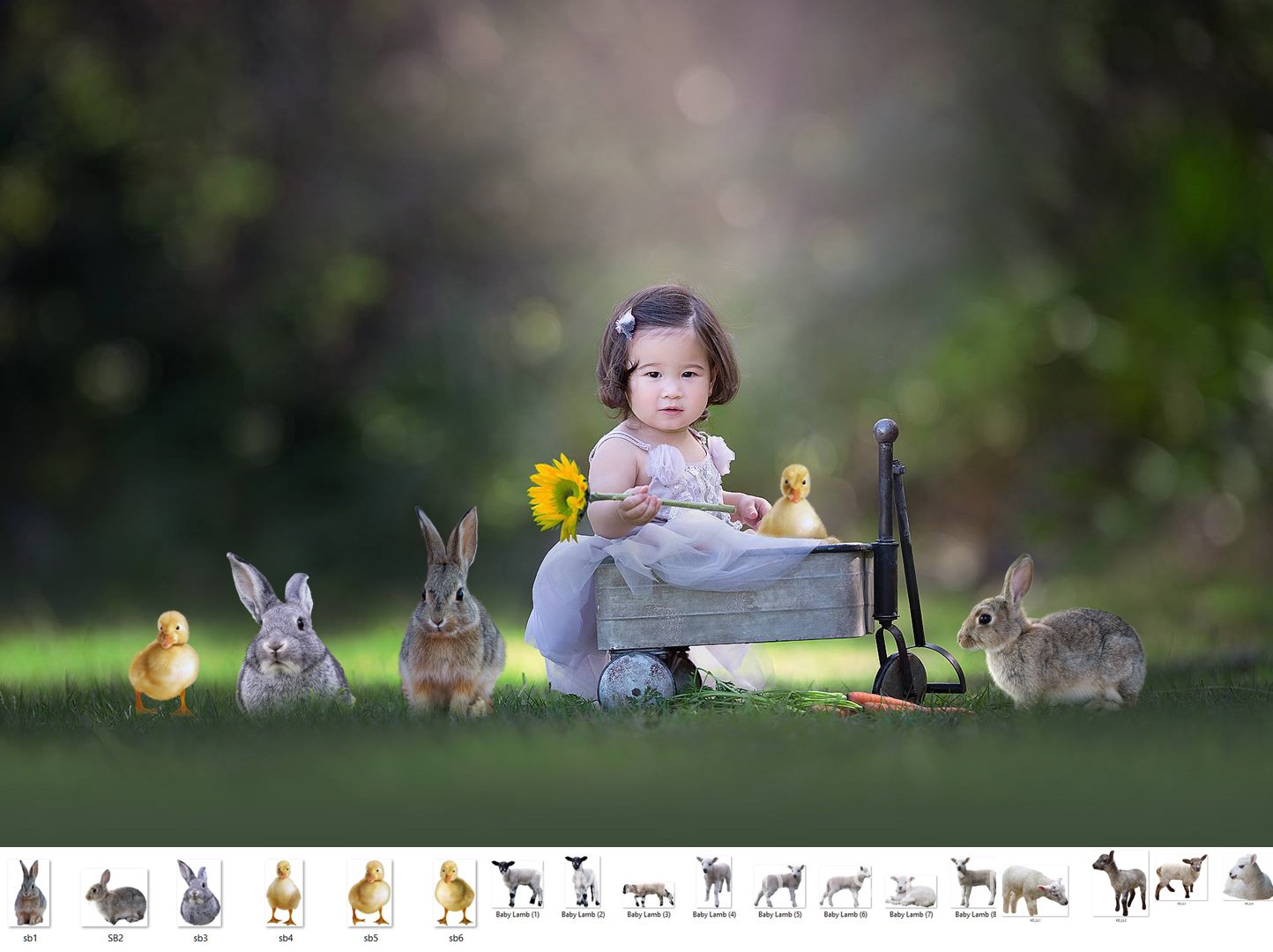 Spring Babies Animal Overlays - Photoshop Overlays, Digital Backgrounds and Lightroom Presets