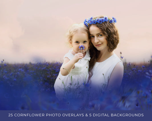 Blue Cornflowers Photo Overlays and Digital backdrops