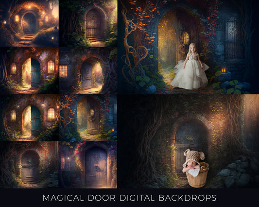 13 Magical Door Fantasy Digital Backdrops