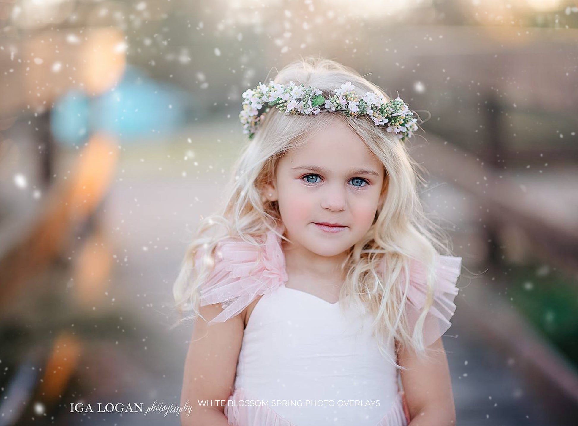 White Blossom Photo Overlays - Photoshop Overlays, Digital Backgrounds and Lightroom Presets
