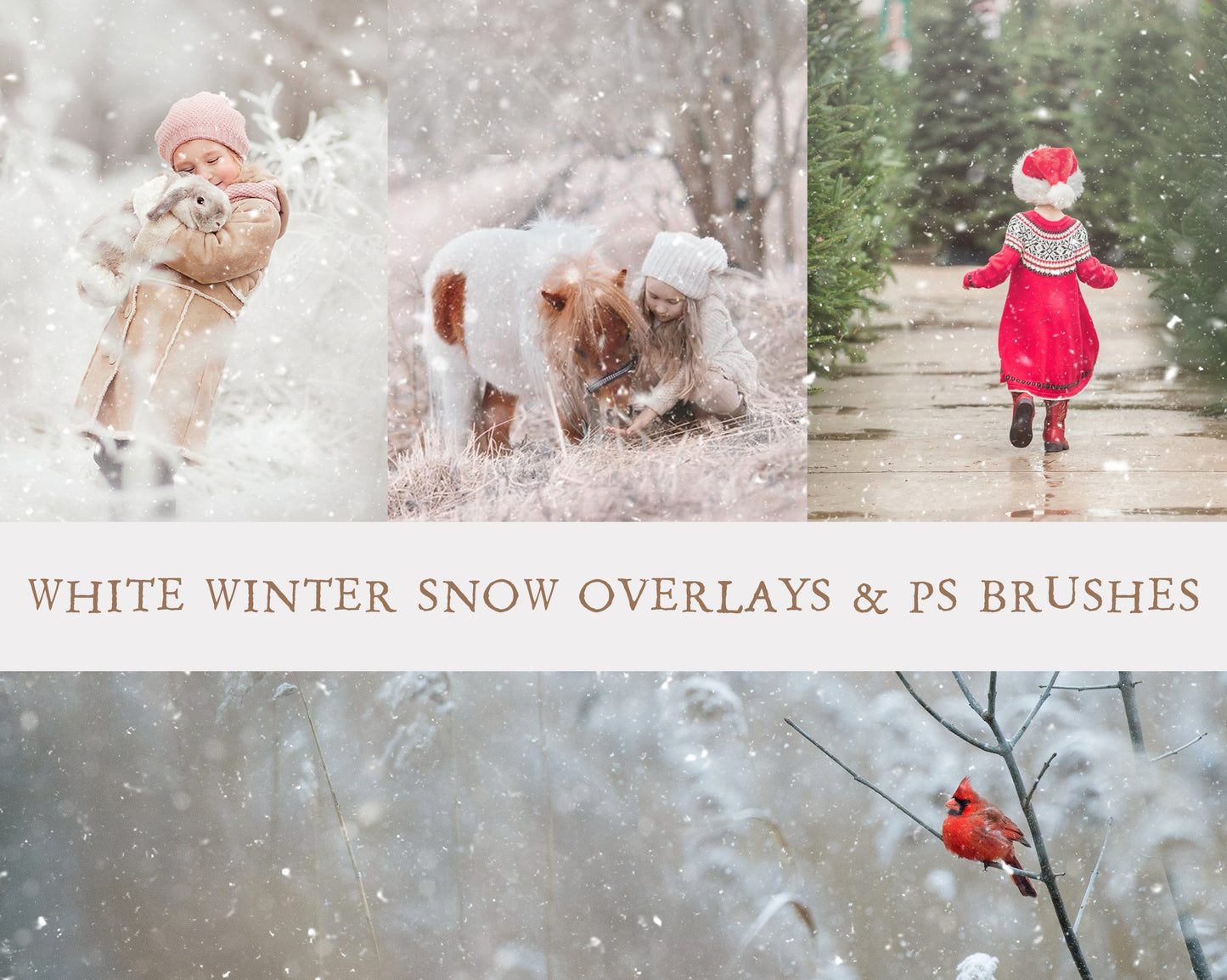 White Winter Overlays and Brushes + 2 Free Gifts