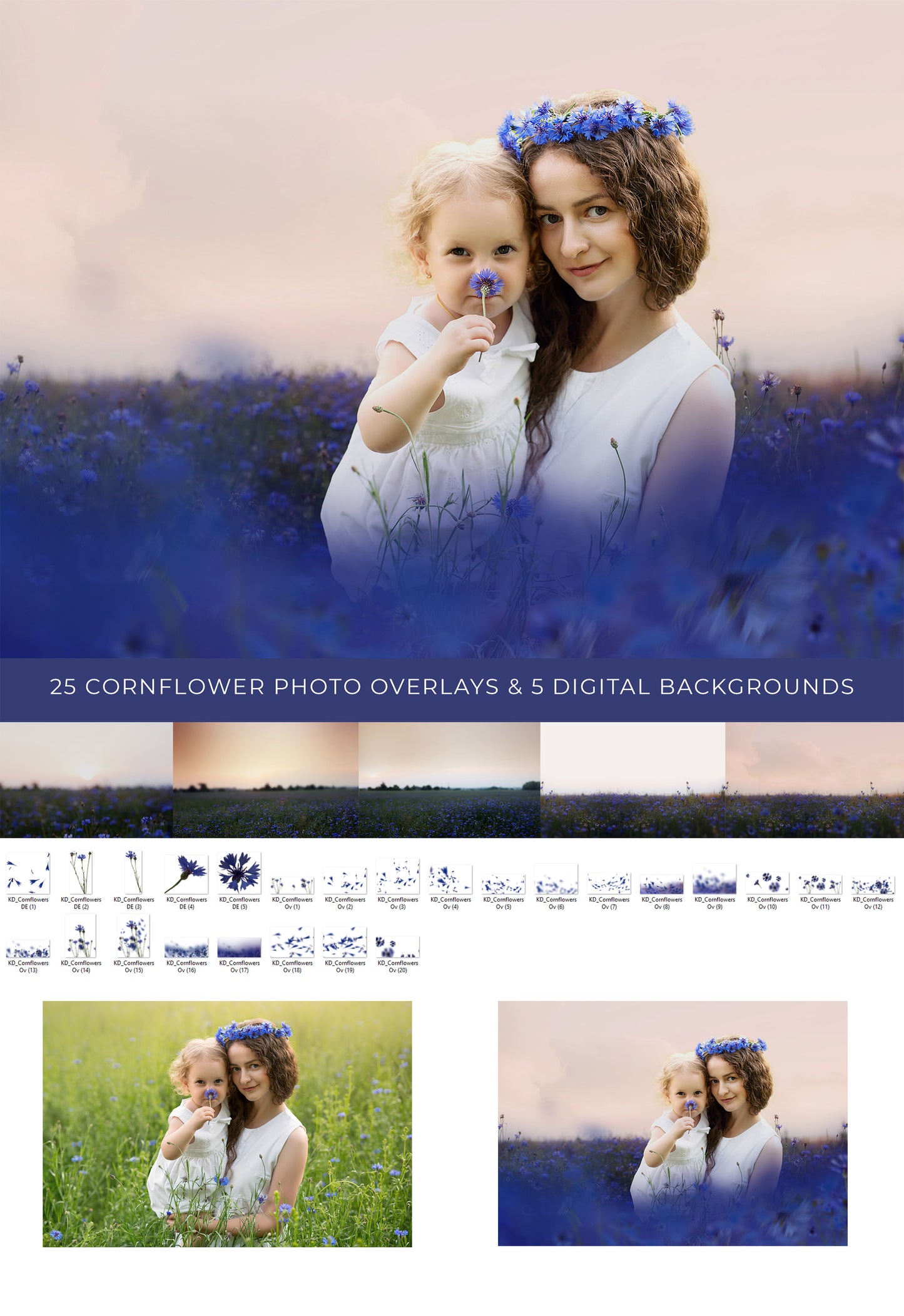 Blue Cornflowers Photo Overlays and Digital backdrops