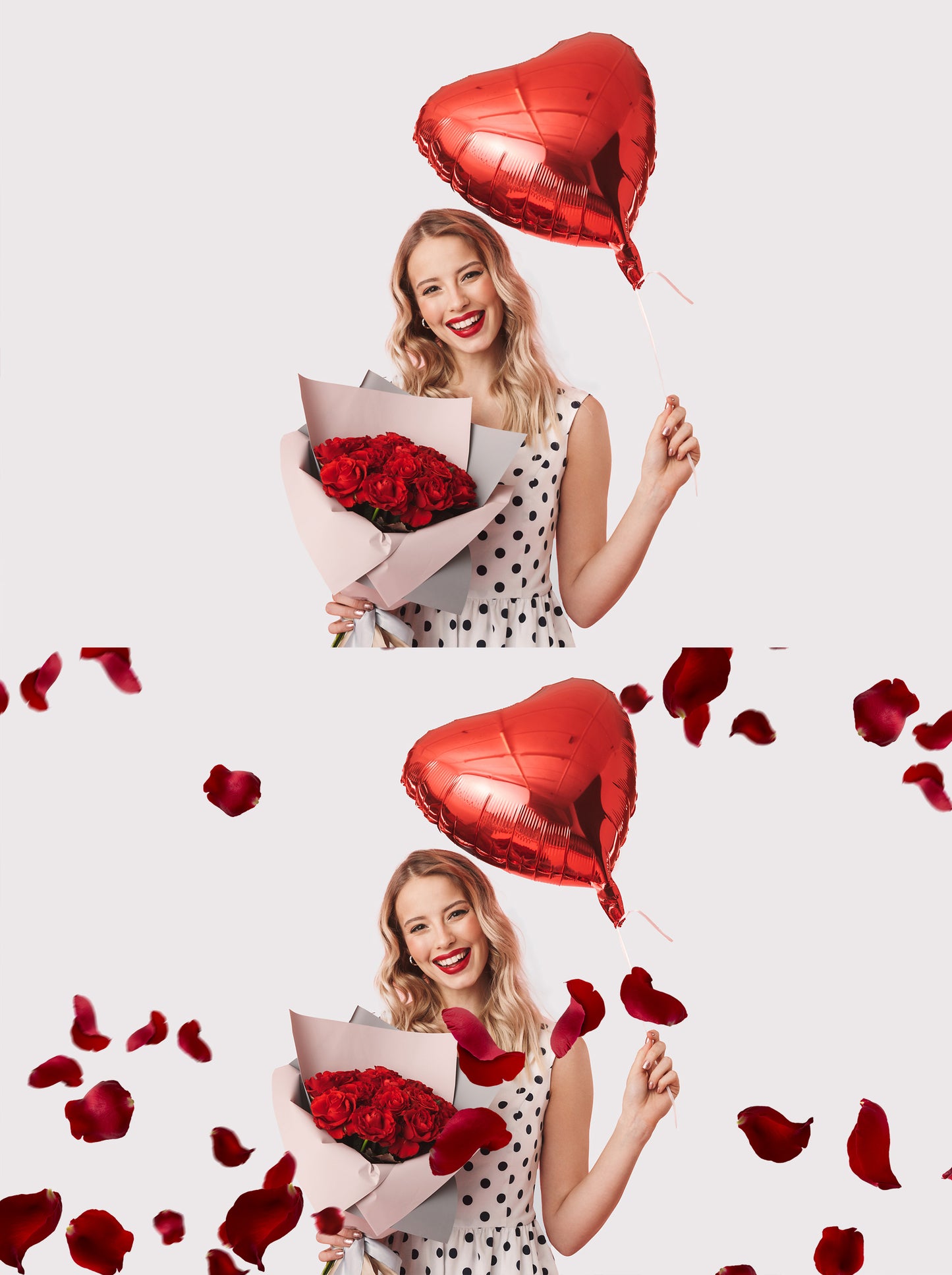 Red Rose Petals Photo Overlays