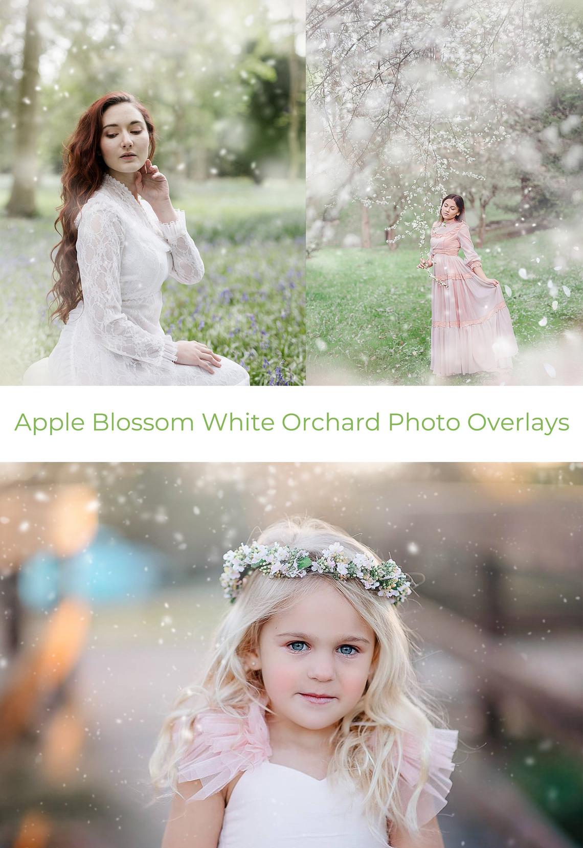 White Blossom Photo Overlays
