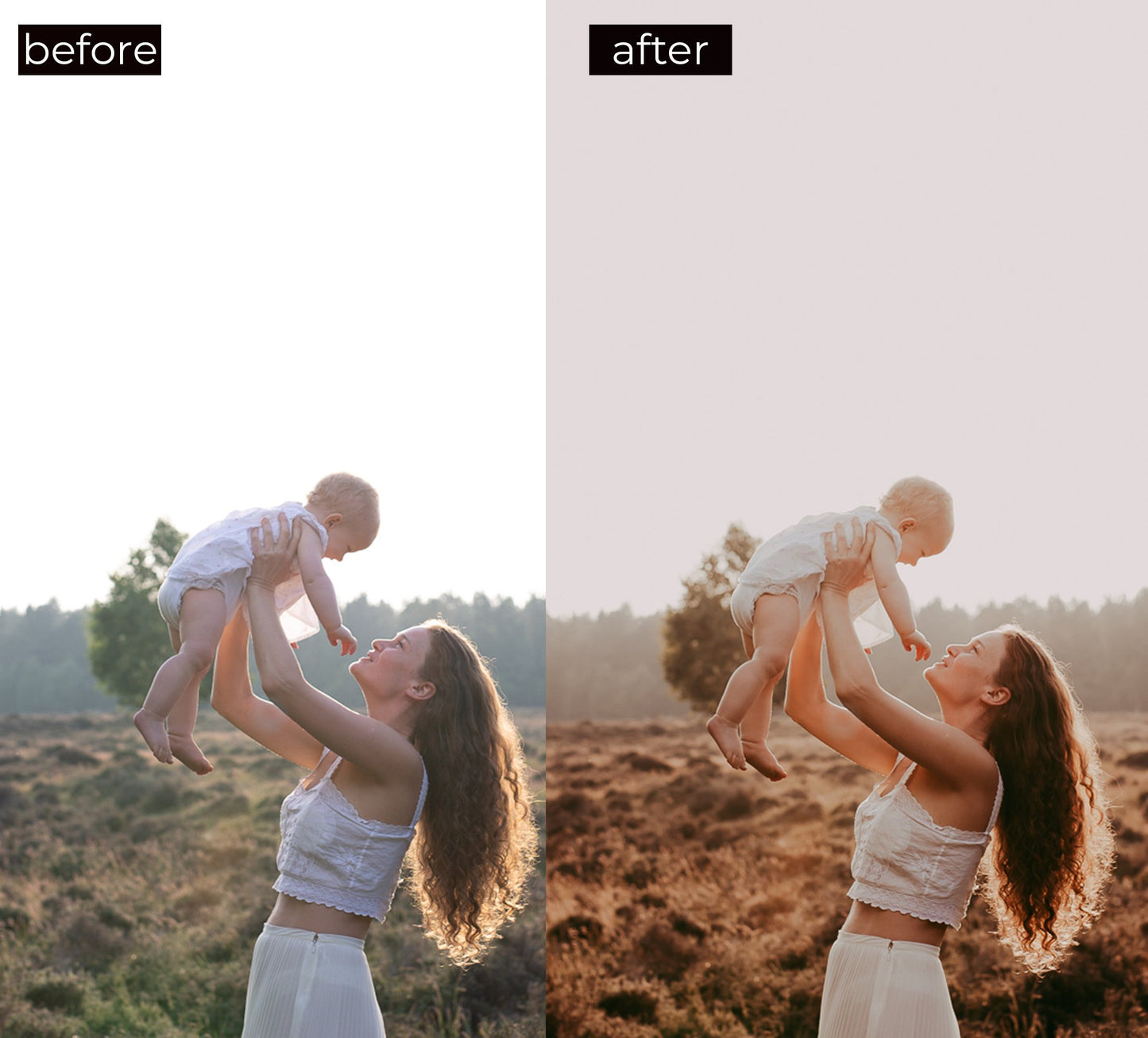 7 Golden Hour Desktop and Mobile Lightroom Presets, Rustic and Modern Lightroom Presets for Professional Photographers and Bloggers