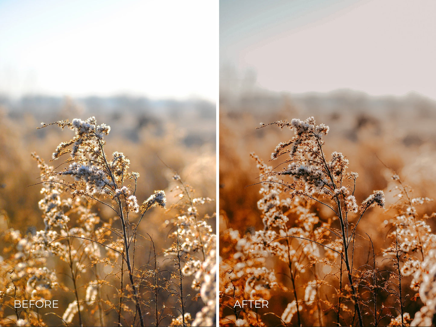 7 Golden Hour Desktop and Mobile Lightroom Presets, Rustic and Modern Lightroom Presets for Professional Photographers and Bloggers