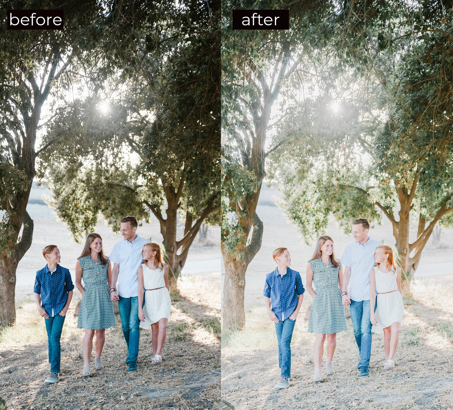 13 Bright & Airy Desktop Lightroom Presets, 4 Mobile Presets, Wedding Lightroom Presets for Professional Photographers and Bloggers