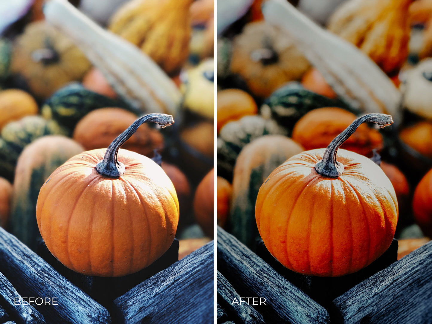 4 Pumpkin Spice Lightroom Presets Warm, Fall Photo Editing, Instagram Filter, Mobile Presets