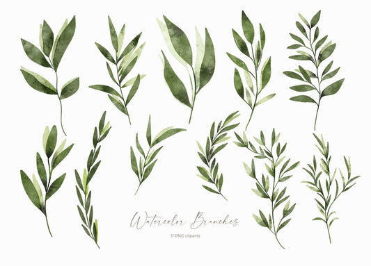 Watercolor Green Branches Cliparts