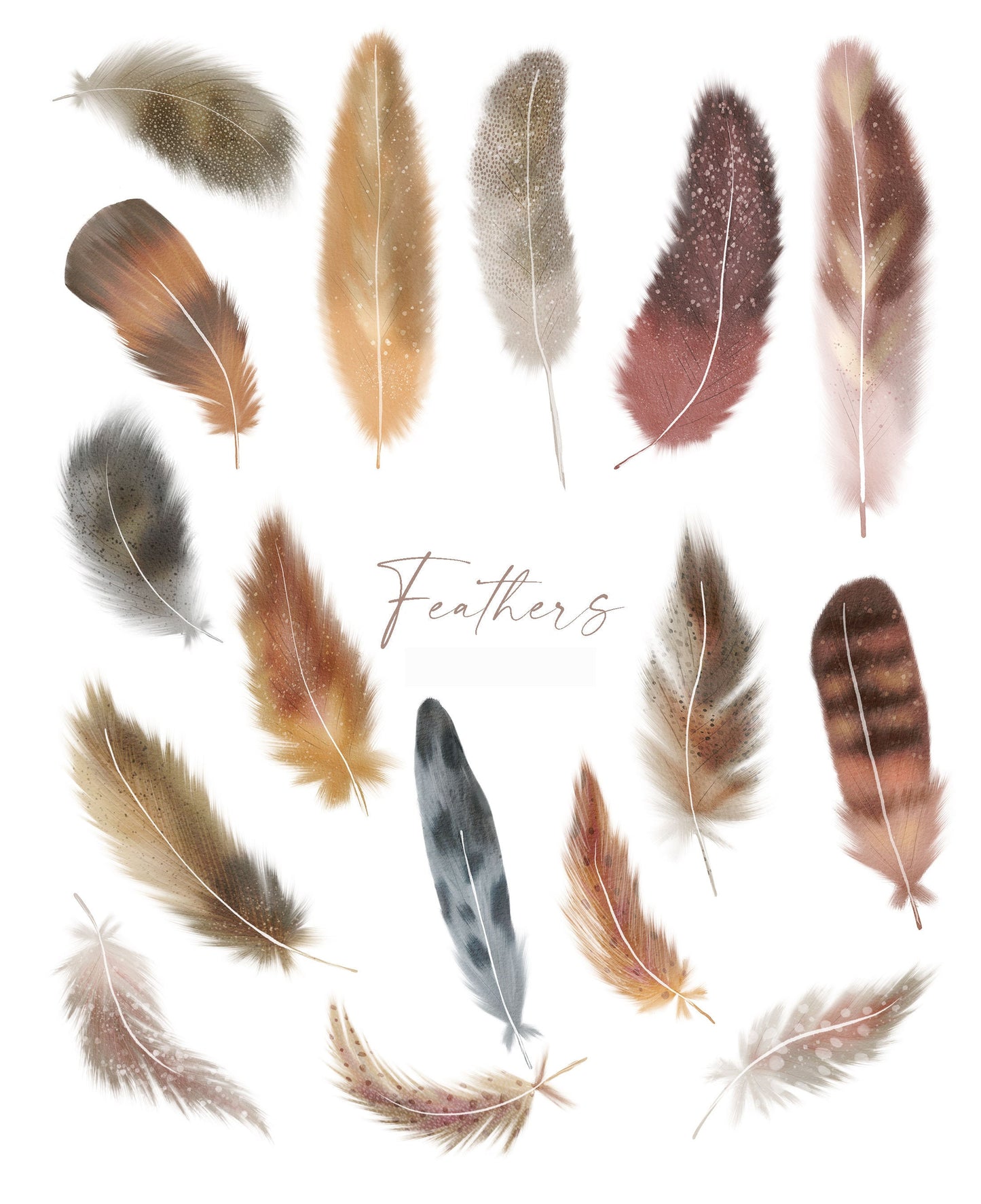 17 Boho Watercolor Feathers Clipart