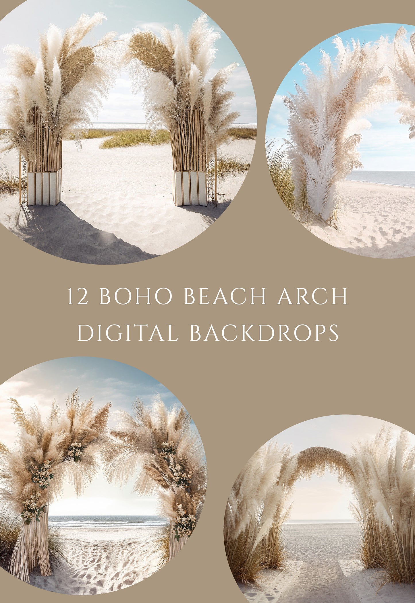 12 Boho Beach Arch Digital Backdrops