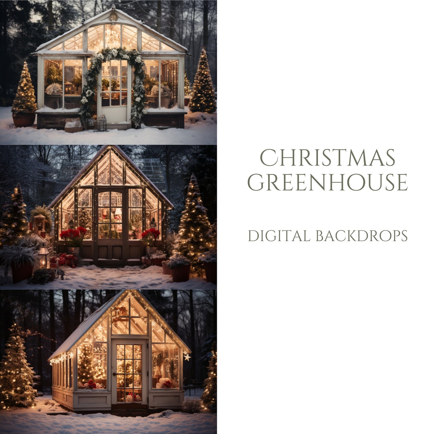 Christmas Greenhouse Digital Backdrops