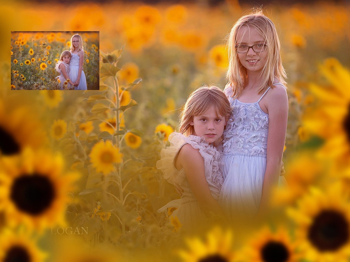 Painted Sunflowers Photo Overlays