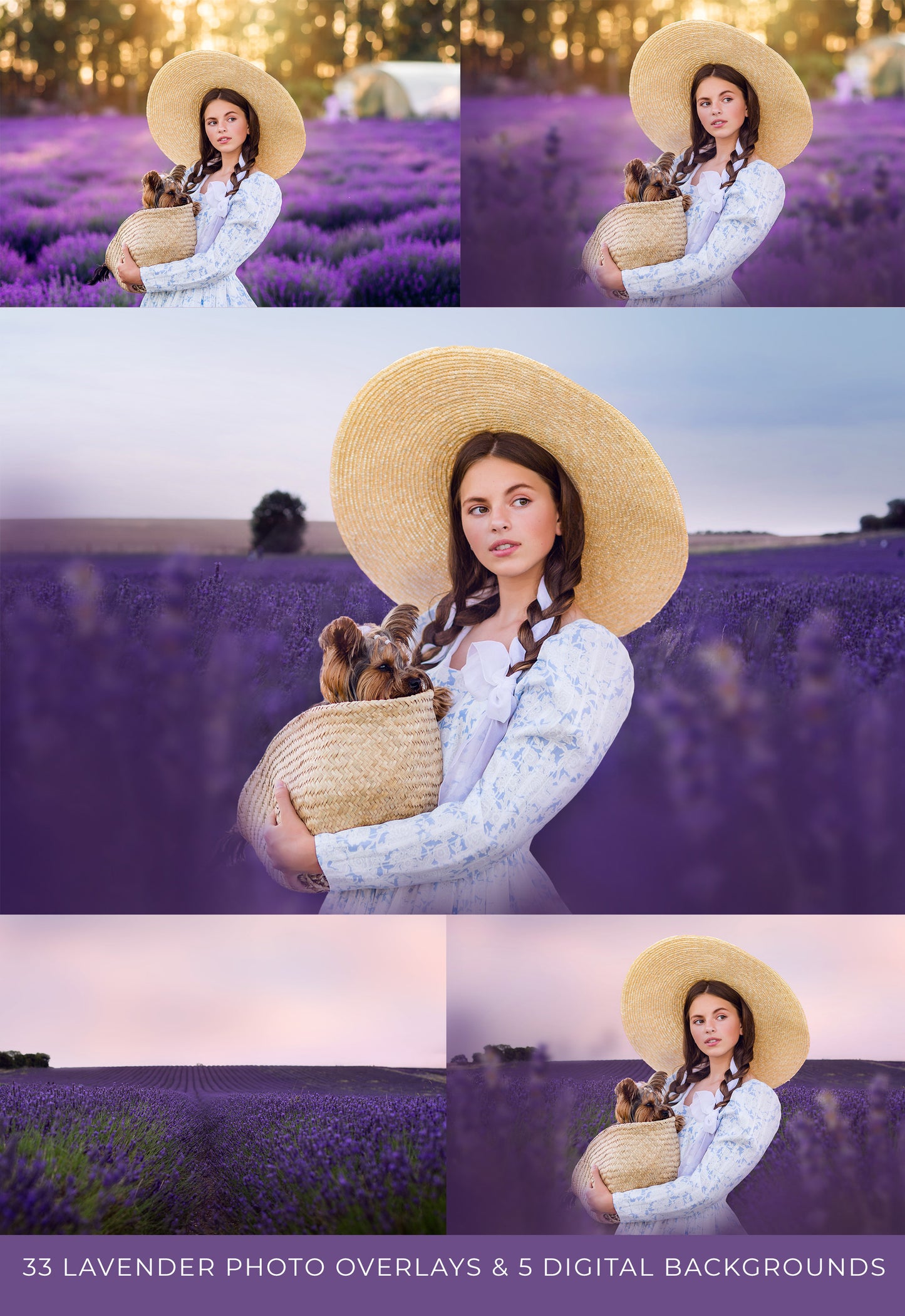 Lavender Love Photo Overlays + Free Gift