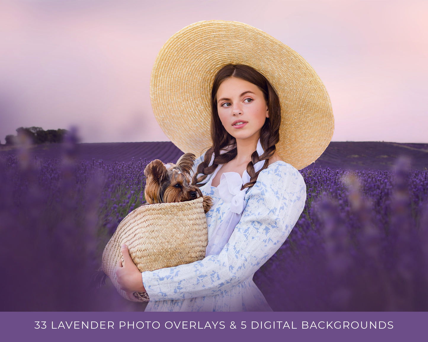 Lavender Love Photo Overlays + Free Gift