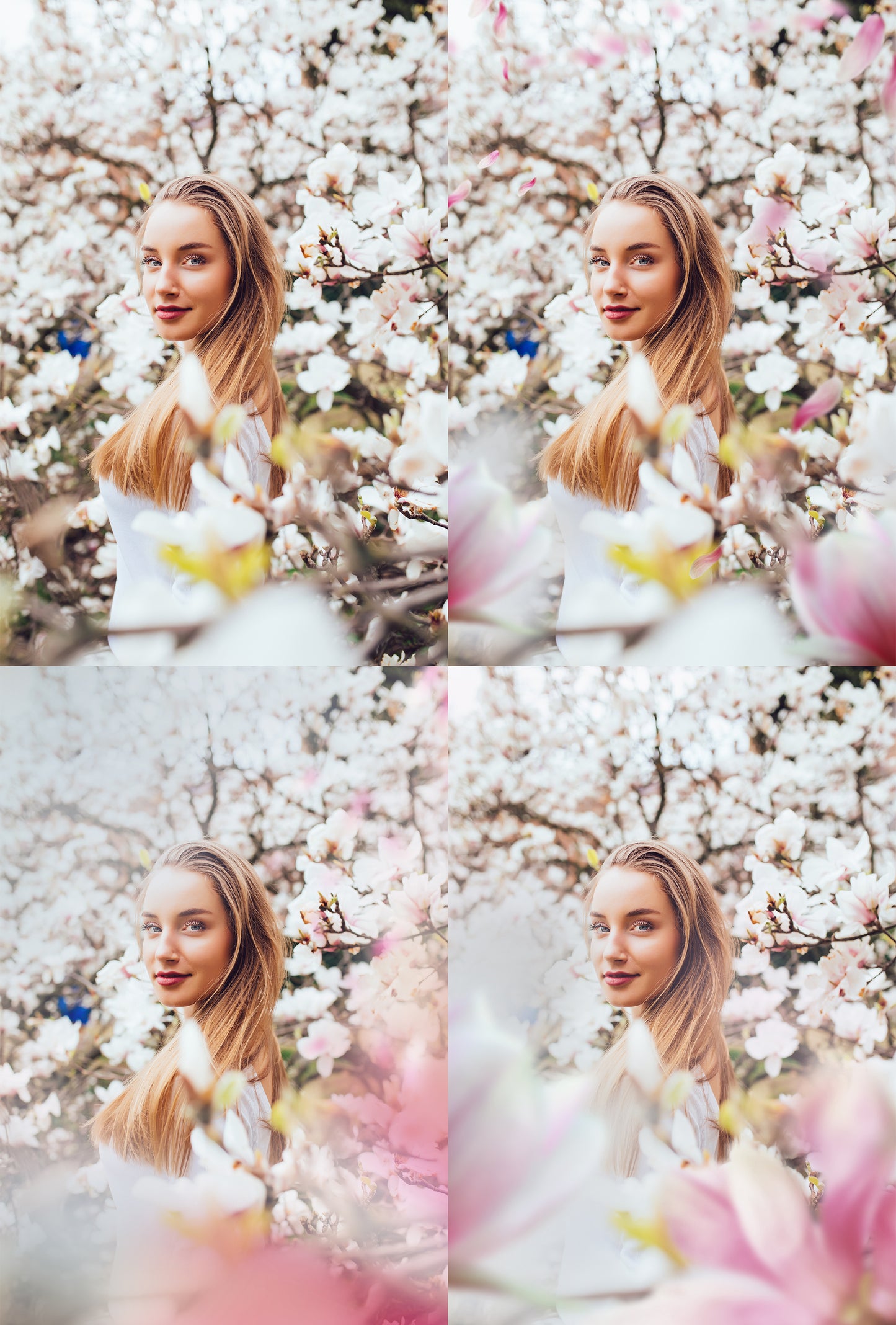 Magnolia Photo Overlays