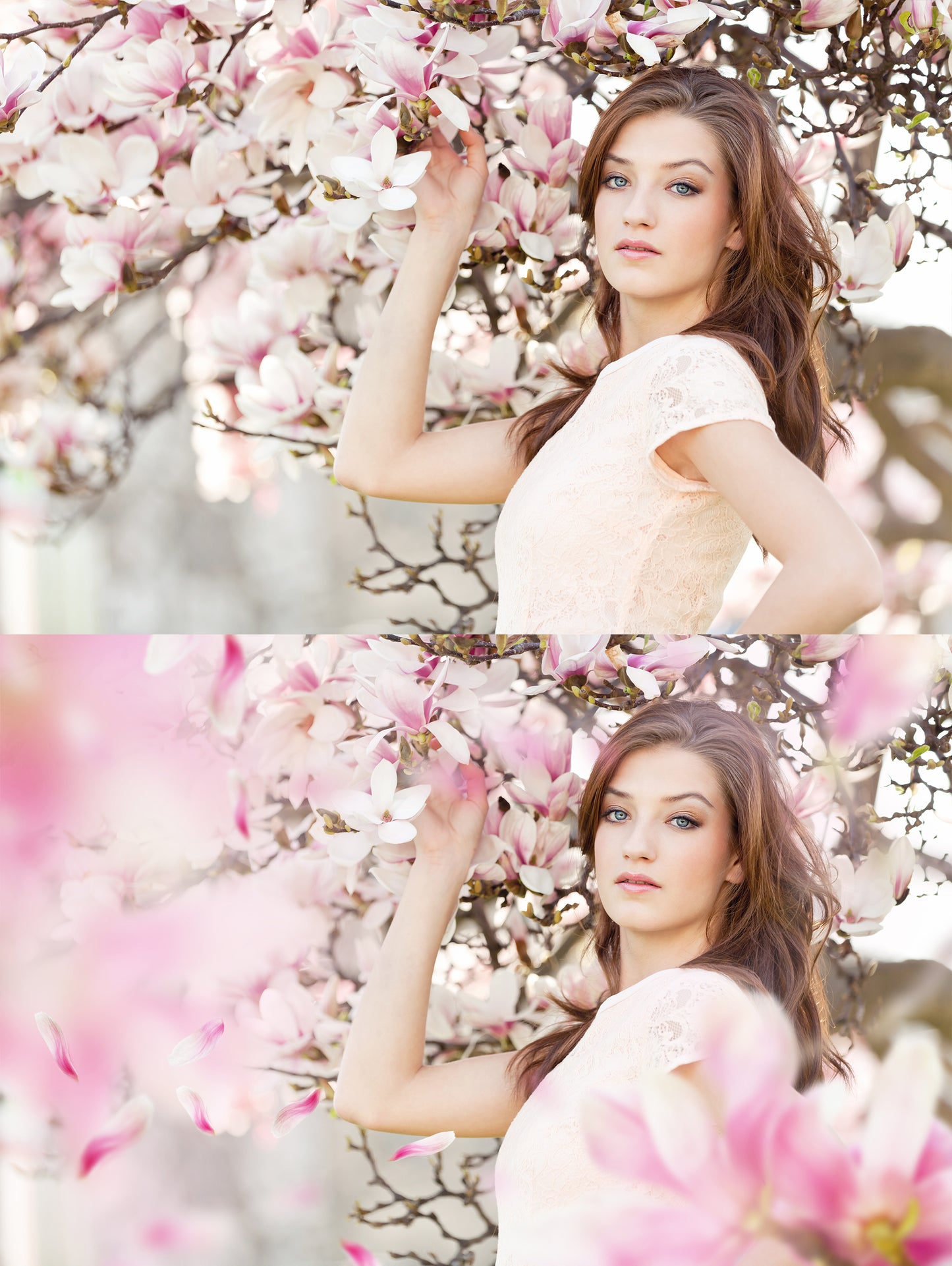 Magnolia Photo Overlays