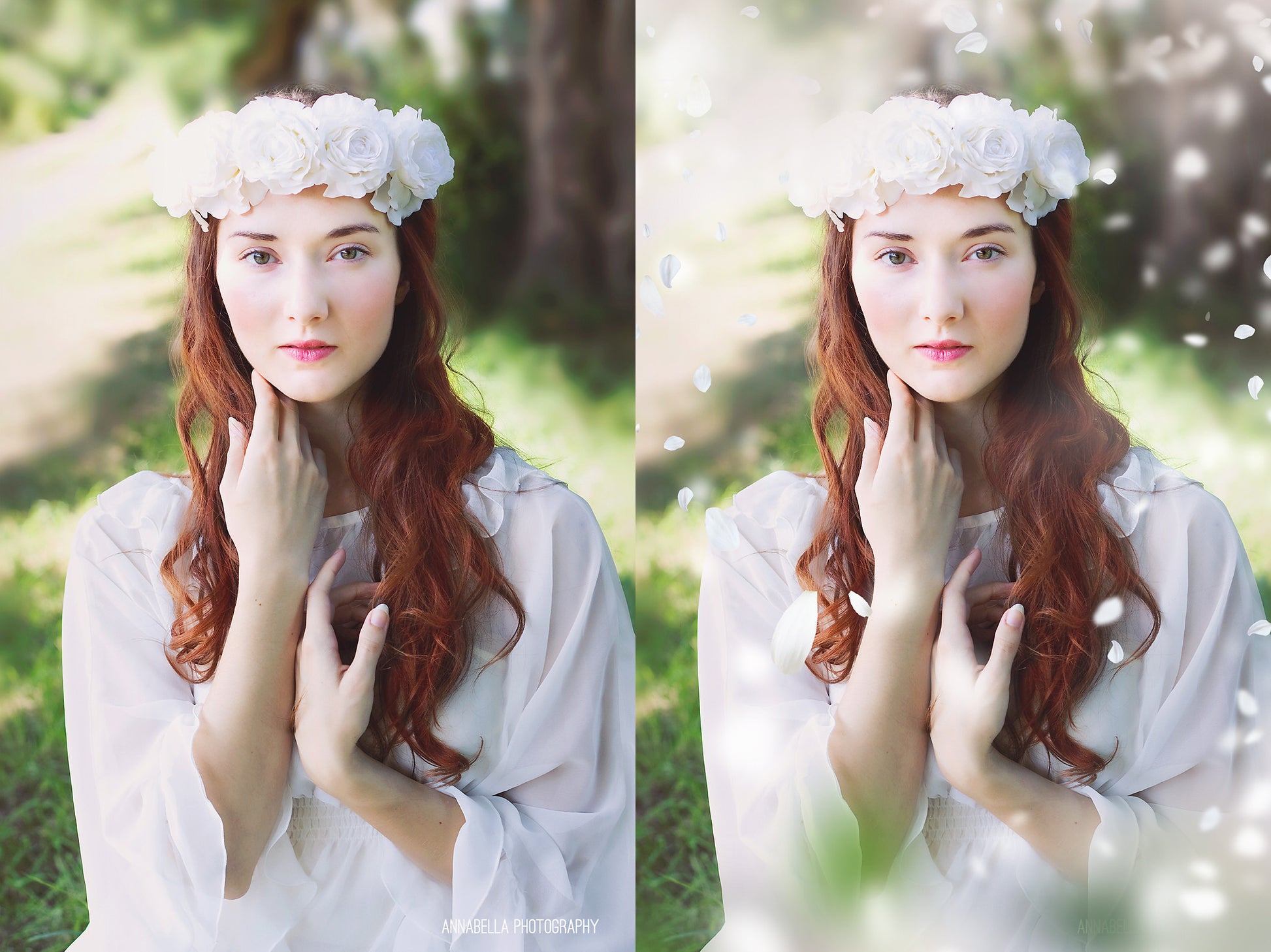 White Blossom Photo Overlays - Photoshop Overlays, Digital Backgrounds and Lightroom Presets