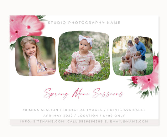 Spring Mini Session Photoshop Template