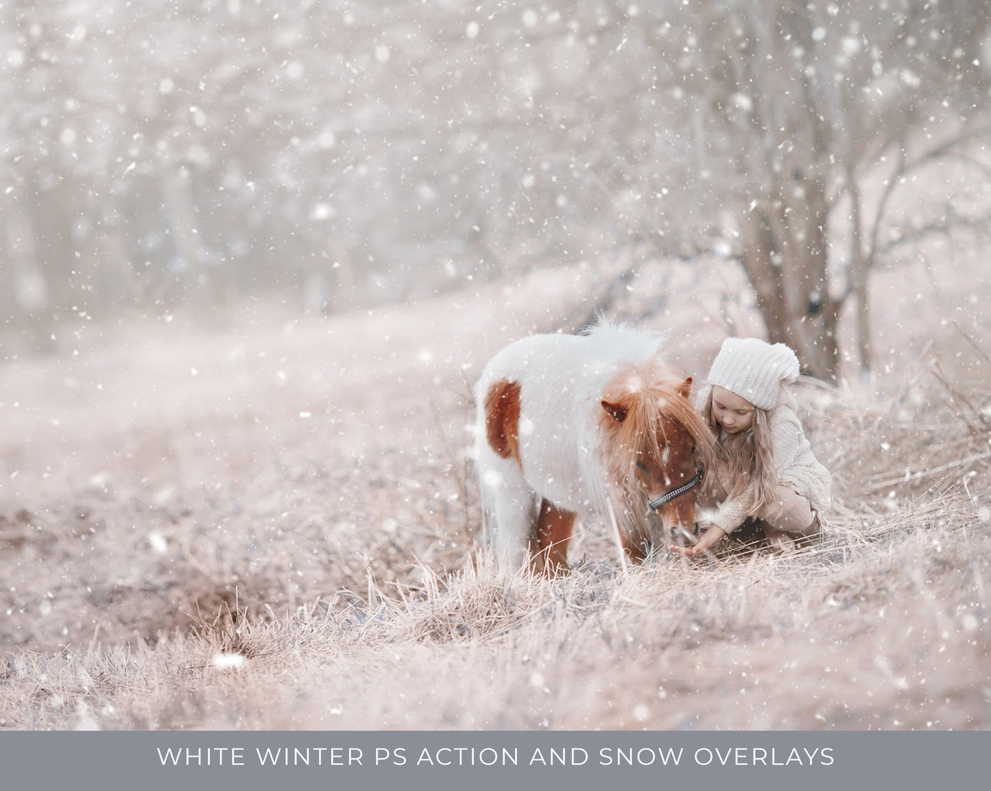 White Winter Overlays and Brushes + 2 Free Gifts