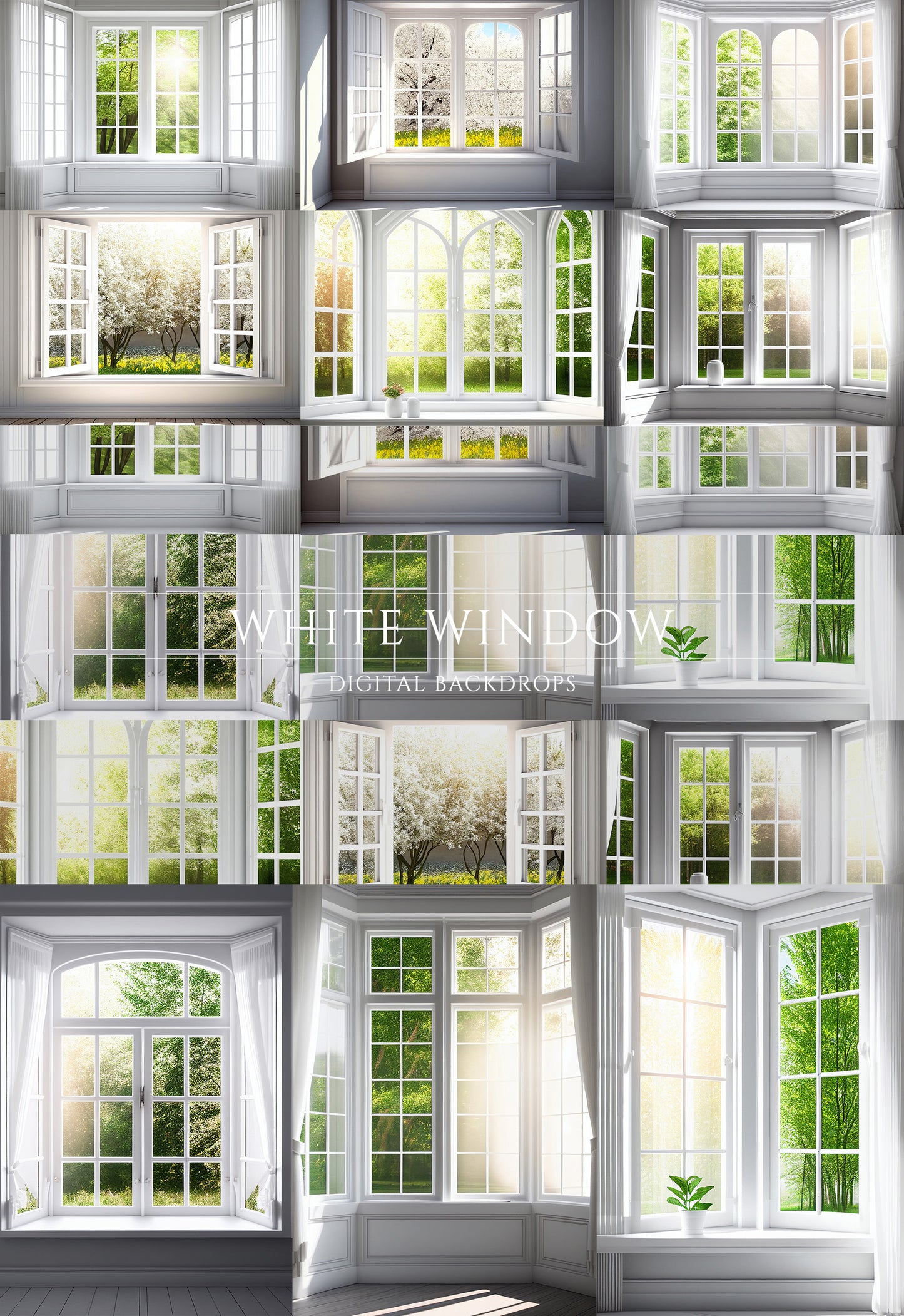 White Window Digital Backdrops