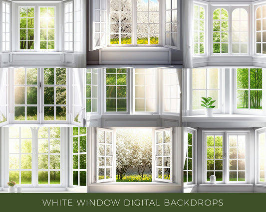 White Window Digital Backdrops