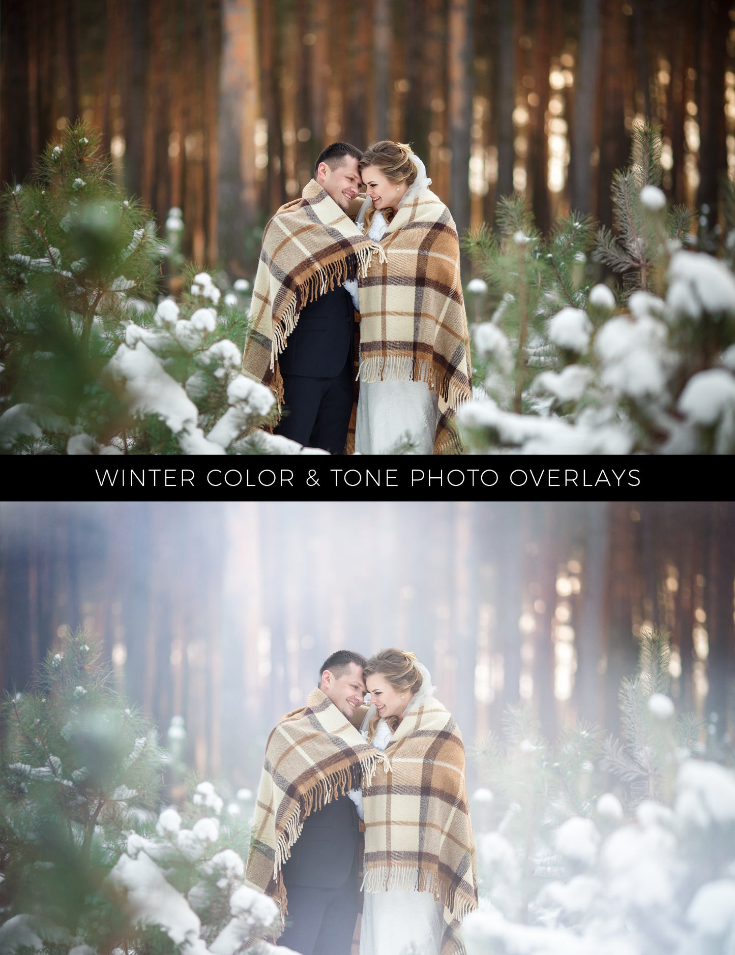 60 Winter Colors Photo Overlays