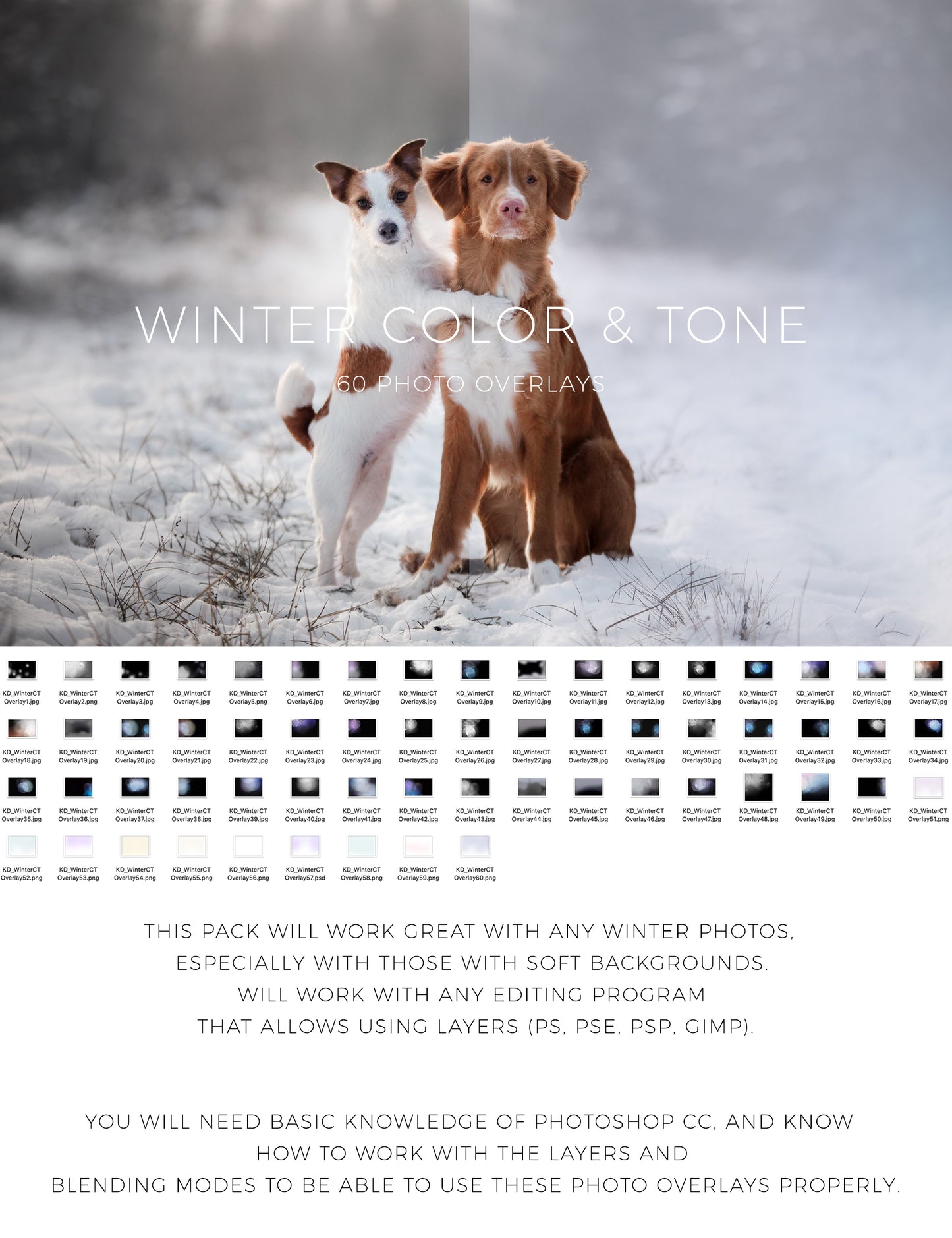 60 Winter Colors Photo Overlays